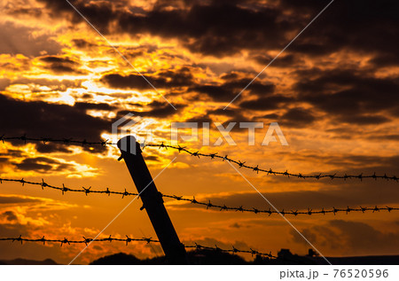 夕焼けと有刺鉄線 76520596