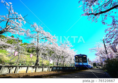 のと鉄道鹿島駅の春 のと鉄道鹿島駅の春 76520667