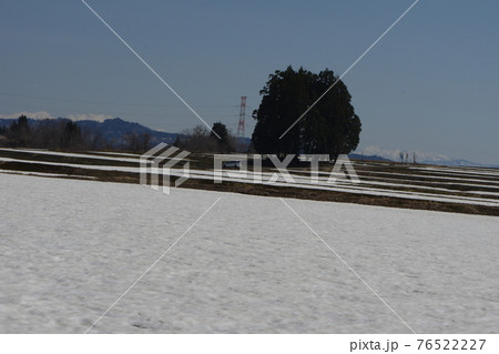雪国の春 雪国の春 76522227