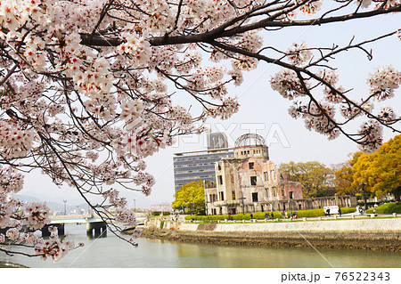 桜と原爆ドーム 76522343