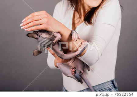 Gorgeous brunette woman smiling, holding Sphynx kitten, posing on grey and yellow studio background. Gorgeous brunette woman smiling, holding Sphynx kitten, posing on grey and yellow studio background. 76522354
