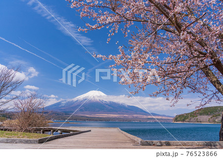 （山梨県）「山中湖交流プラザ　きらら」から望む、富士山 76523866