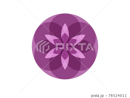 Flower of Life symbol Sacred Geometry. Logo Geometric mystic mandala of alchemy esoteric colorful Seed of Life in shade of purple color. Divine meditative amulet, vector isolated on white background 76524011