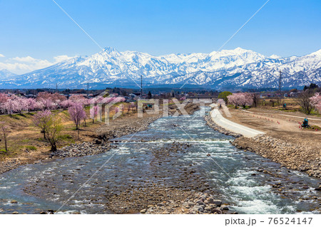はねうま大橋から妙高連山 はねうま大橋から妙高連山 76524147