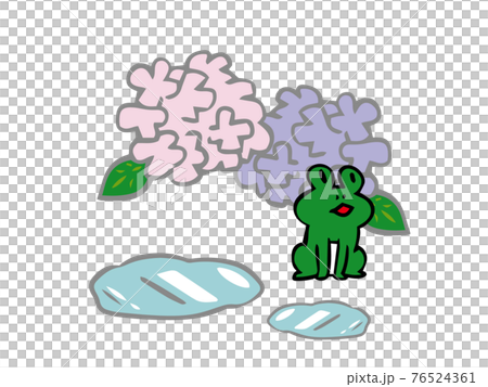 Frog, hydrangea and puddle Frog, hydrangea and puddle 76524361