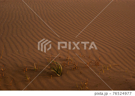 広がる砂紋 76524977