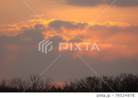 朝焼け 76524978