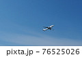 画像を見るとバードストライクように見えます。空港の周りでは野鳥が多いため身近な非日常的な事故が起こる 76525026