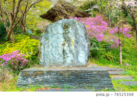 里山の春を彩る 慈光寺 里山の春を彩る 慈光寺 76525308
