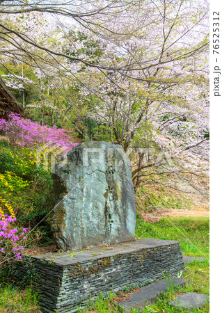 里山の春を彩る　慈光寺　　　　　 76525312