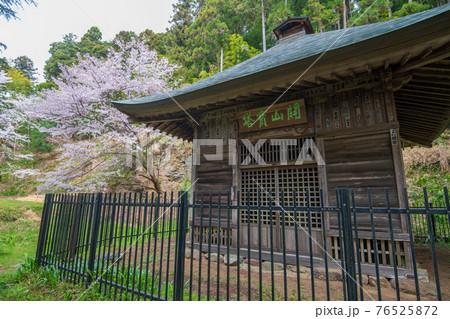 開山塔と桜　慈光寺　　　　　 76525872