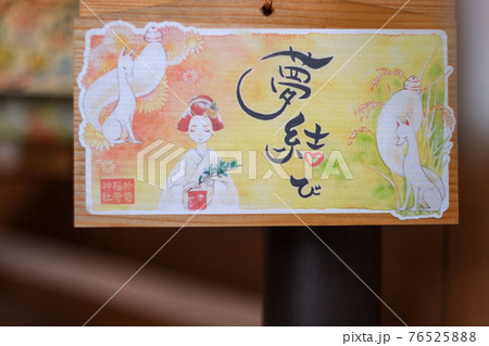於菊稲荷神社の絵馬 76525888