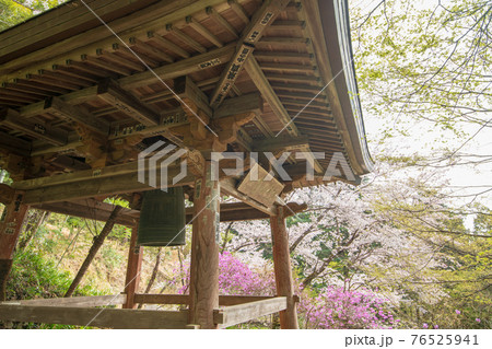 里山の春を彩る　鐘楼　慈光寺　　　　　 76525941