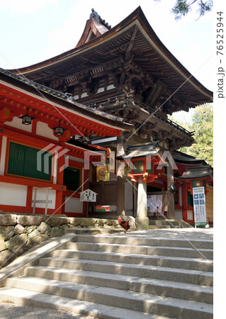 奈良 石上神宮楼門と鶏 奈良 石上神宮楼門と鶏 76525944