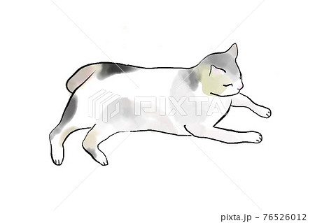 横になる猫のイラスト素材