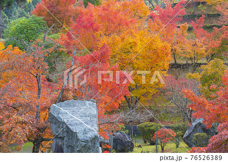 倶利伽羅不動寺の紅葉 倶利伽羅不動寺の紅葉 76526389