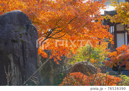 倶利伽羅不動寺の紅葉 76526390