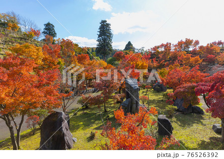 倶利伽羅不動寺の紅葉 76526392