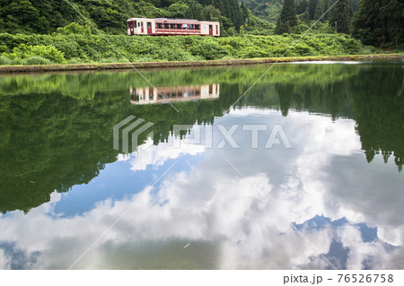 新潟県小千谷市・JR飯山線　錦鯉の養鯉池の脇を走る単行列車と映り込み 76526758