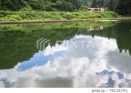 新潟県小千谷市・JR飯山線　錦鯉の養鯉池の脇を走る単行列車と映り込み 76526761