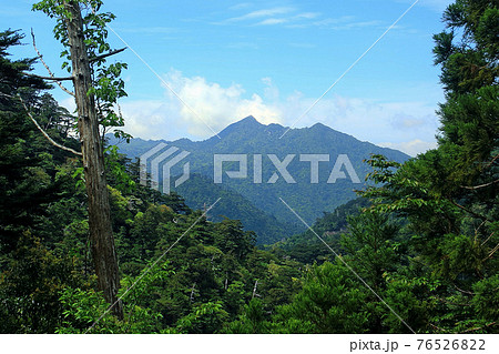 屋久島　鹿児島県 76526822