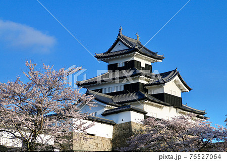春の小峰城(福島県・白河市) 春の小峰城(福島県・白河市) 76527064