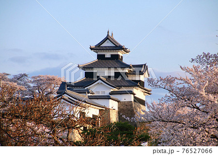 春の小峰城（福島県・白河市） 76527066