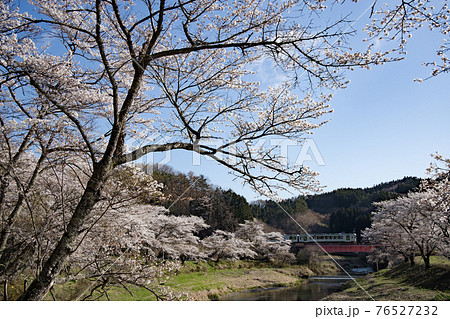 夏井千本桜と磐越東線 76527232