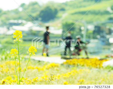 自転車の練習　花畑　 76527328
