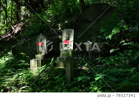 矢田寺より 76527341