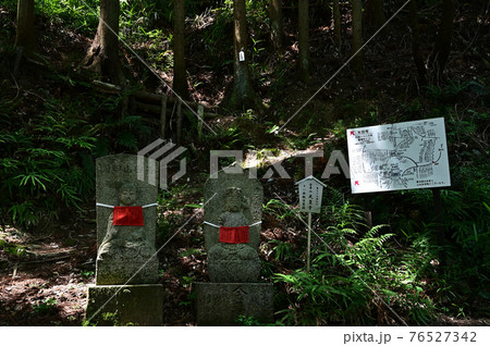 矢田寺より 76527342