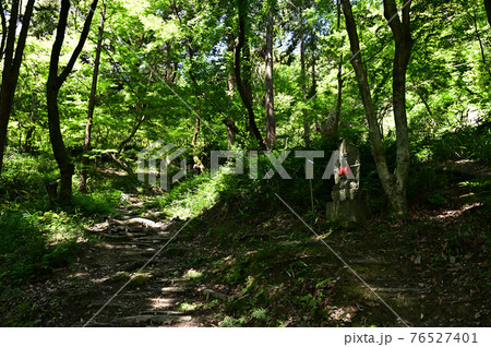 矢田寺より 76527401