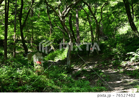 矢田寺より 矢田寺より 76527402