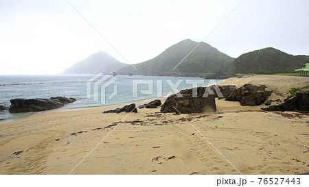 屋久島 ウミガメ 屋久島 ウミガメ 76527443