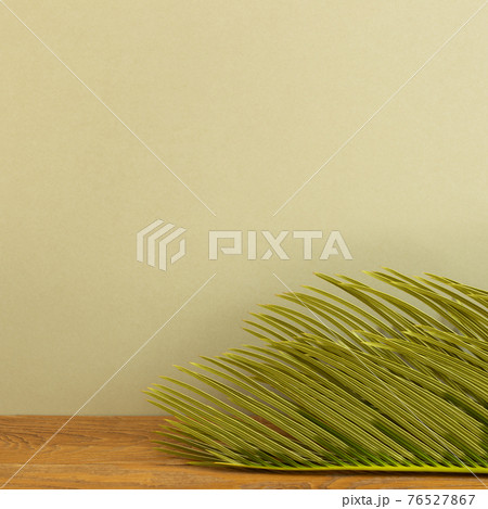Tropical dry leaf on wooden table. khaki beige background 76527867