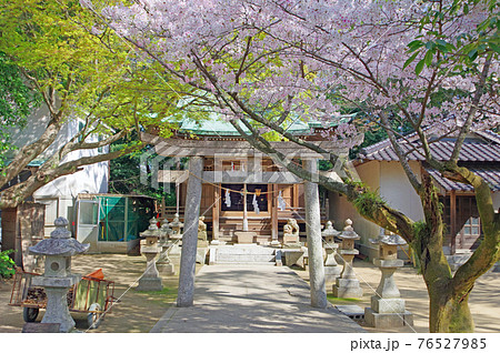 下関市忌宮神社境内にある八坂神社 76527985
