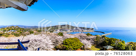 竹崎城址展望台の桜　パノラマ　【佐賀県藤津郡太良町】 76528063