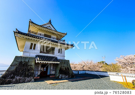 竹崎城址展望台の桜　【佐賀県藤津郡太良町】 76528083