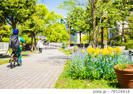 閑静な住宅街　生活道路のチューリップ花壇 76528918