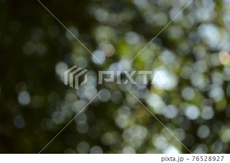 Natural green bokeh. Blurry leaves, plant, tree abstract texture background. Low angle, under the tree view, horizontal image style. Natural green bokeh. Blurry leaves, plant, tree abstract texture background. Low angle, under the tree view, horizontal image style. 76528927