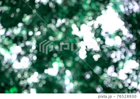 Bokeh of lush green fresh trees, leaves in park. Beautiful blurry natural abstract texture background. 76528930