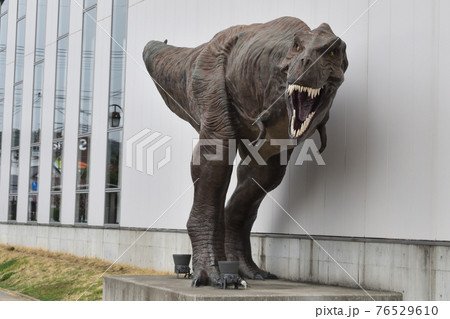 ティラノサウルスの像 御船町恐竜博物館 の写真素材