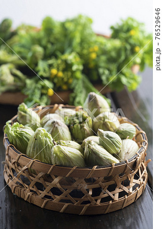 春の山菜 76529646