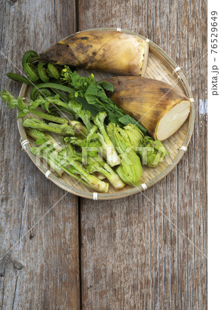 春の山菜 76529649