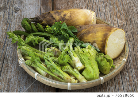 春の山菜 76529650