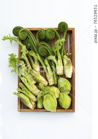 春の山菜 76529651