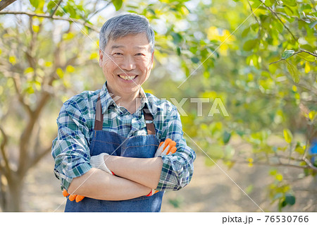 Farmer smile in orchard 76530766