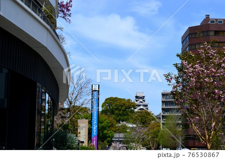 熊本市街地 桜の花に彩られた熊本城下の景観 熊本市街地 桜の花に彩られた熊本城下の景観 76530867