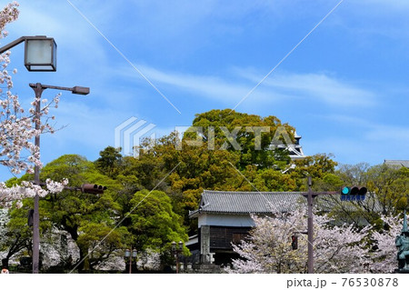 熊本市街地 桜の花に彩られた熊本城下の景観 熊本市街地 桜の花に彩られた熊本城下の景観 76530878
