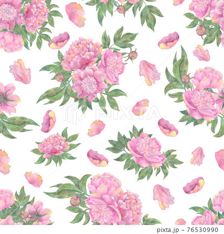 Seamless pattern with beautiful peony flowers and leaves isolated on white.  Hand drawn watercolor illustration, season summer and spring concept 76530990